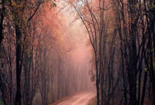 开云：[法甲]第22轮：马赛VS圣埃蒂安.