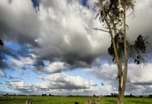 开云：蒂尔尼：我最看重的是职业素养；从小就想成为职业足球运动员.