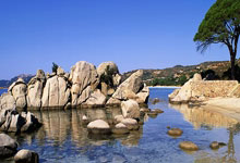 开云：[法甲]第22轮：马赛VS圣埃蒂安.